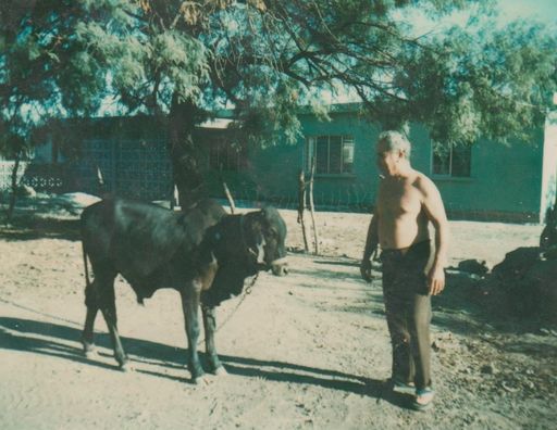 Jose C. Guajardo photo gallery thumbnail 3 of 32