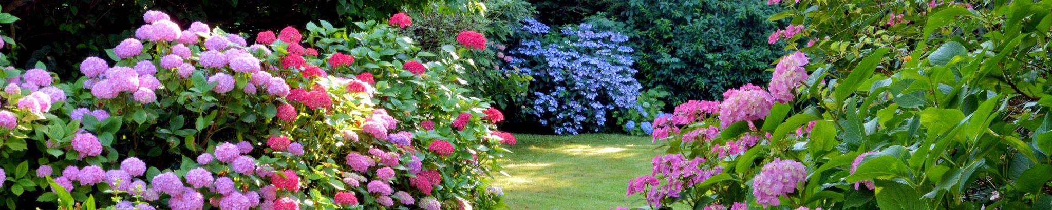 Cover photo for Mavis Watnemo's Obituary
