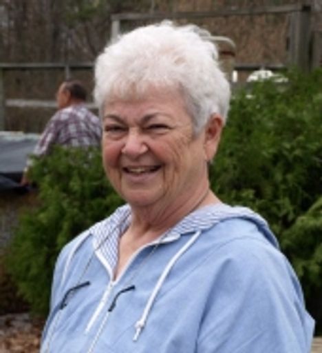 Gladys Lynett Willea Profile Photo