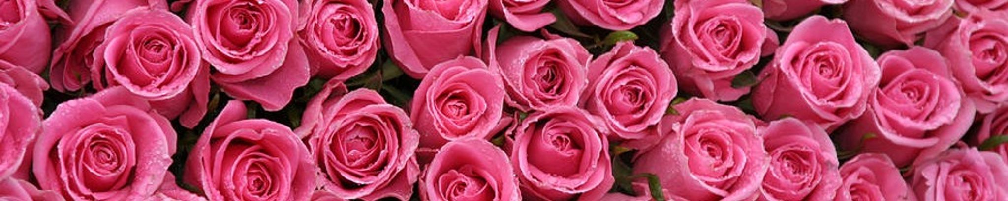 Cover photo for Edna Geraldine "Geri" Williams Cousart's Obituary