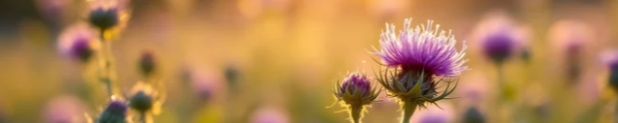Cover photo for DeVon Marie Lund's Obituary