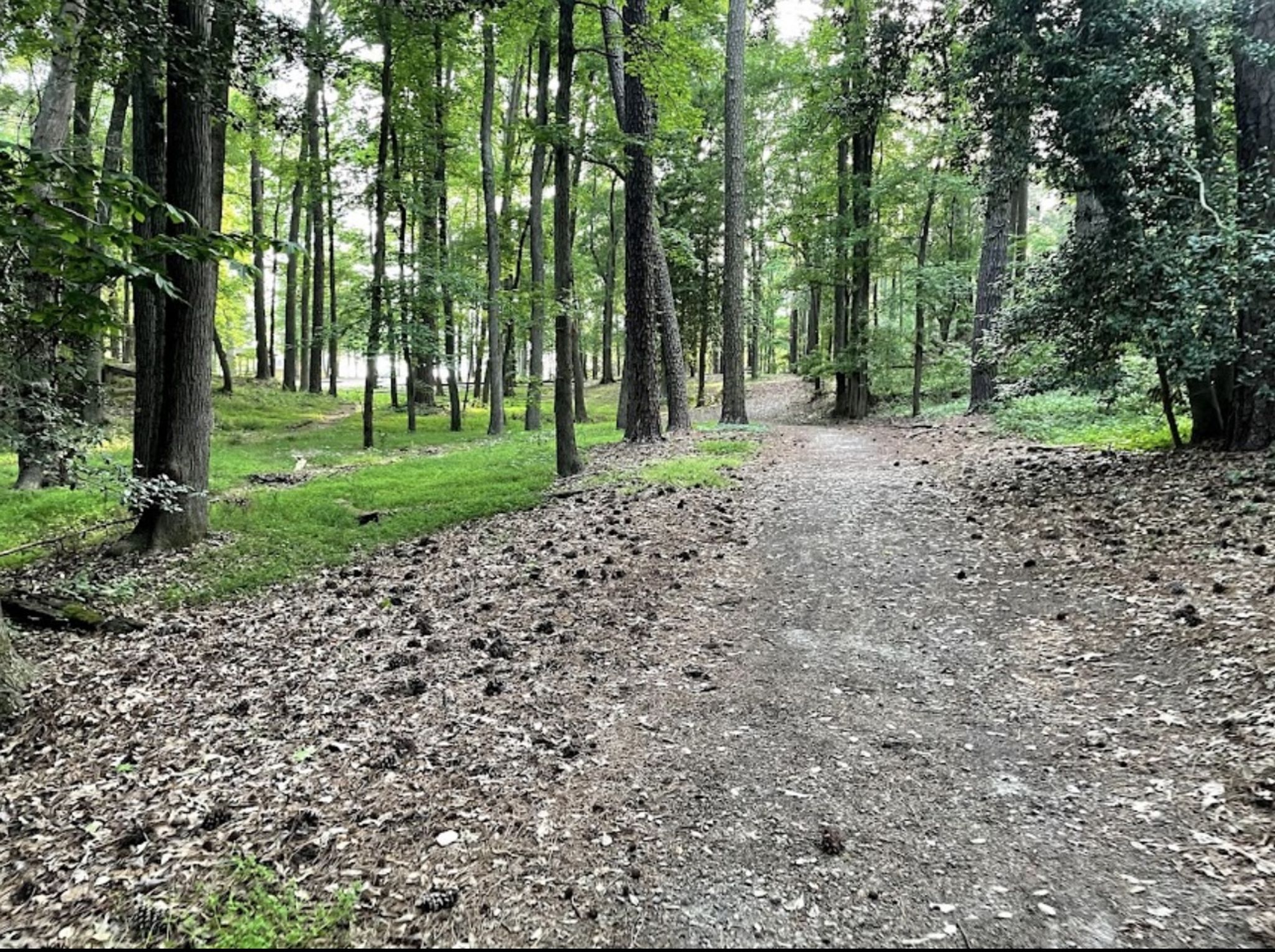 Cover for Albert Lee Brockwell's Obituary