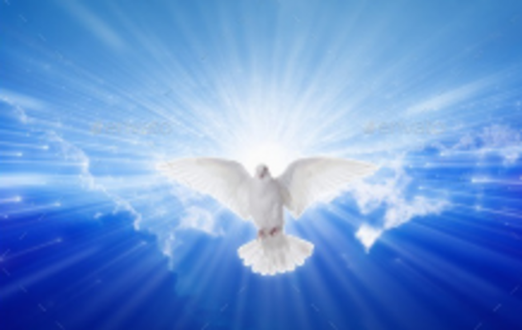 Robert Wharton Farrell Jr. Profile Photo