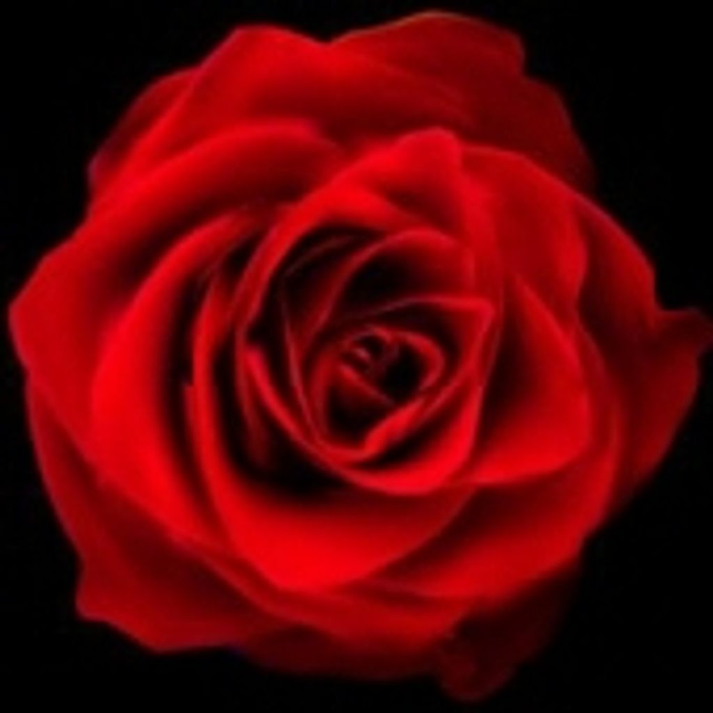 Audrey Marrie Huffman