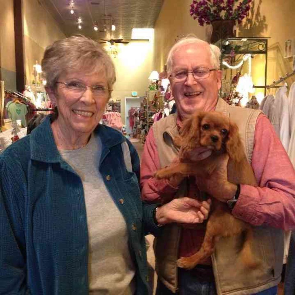 Sue Weber Profile Photo