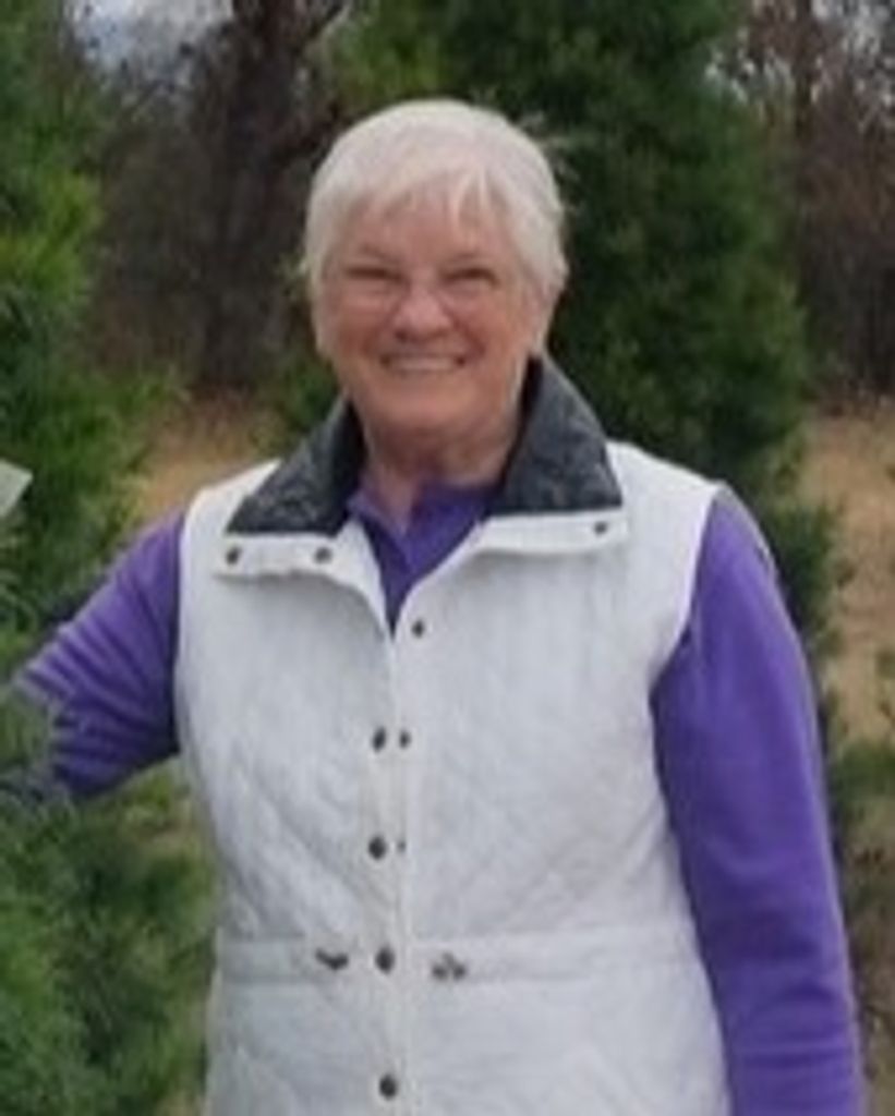 Margie D'Ann Rains