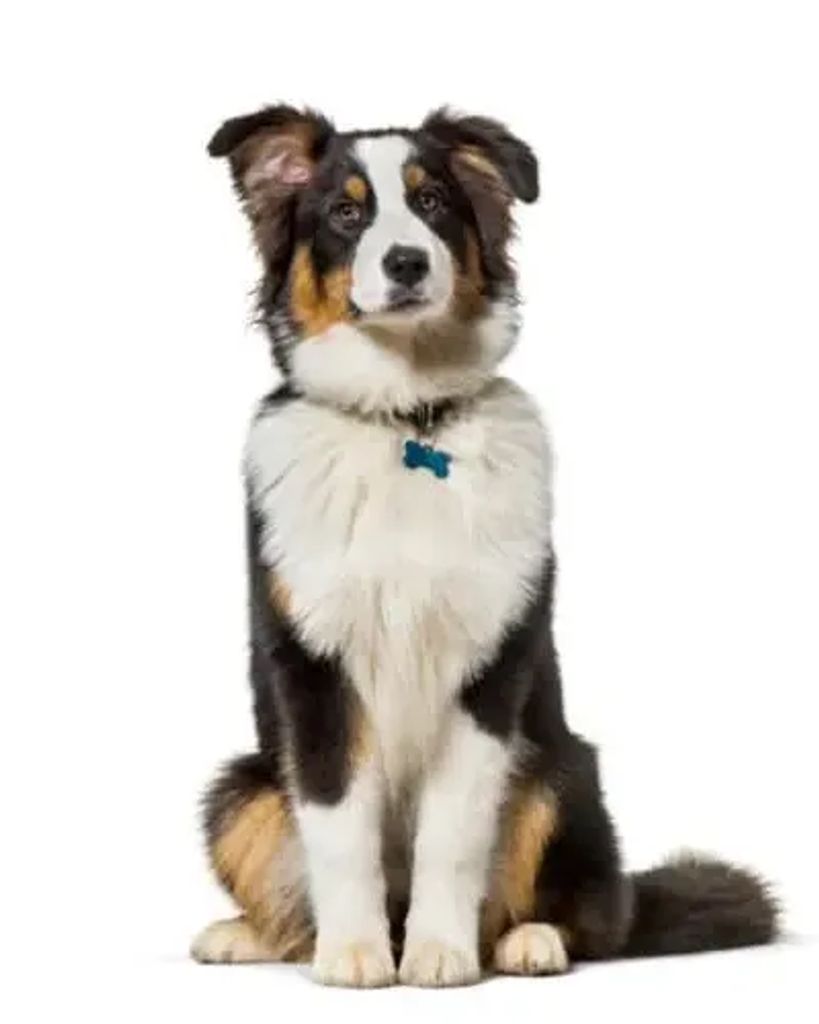 Jack Bones Profile Photo