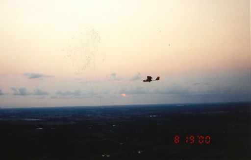 Davis Flood Matheny photo gallery thumbnail 25 of 48