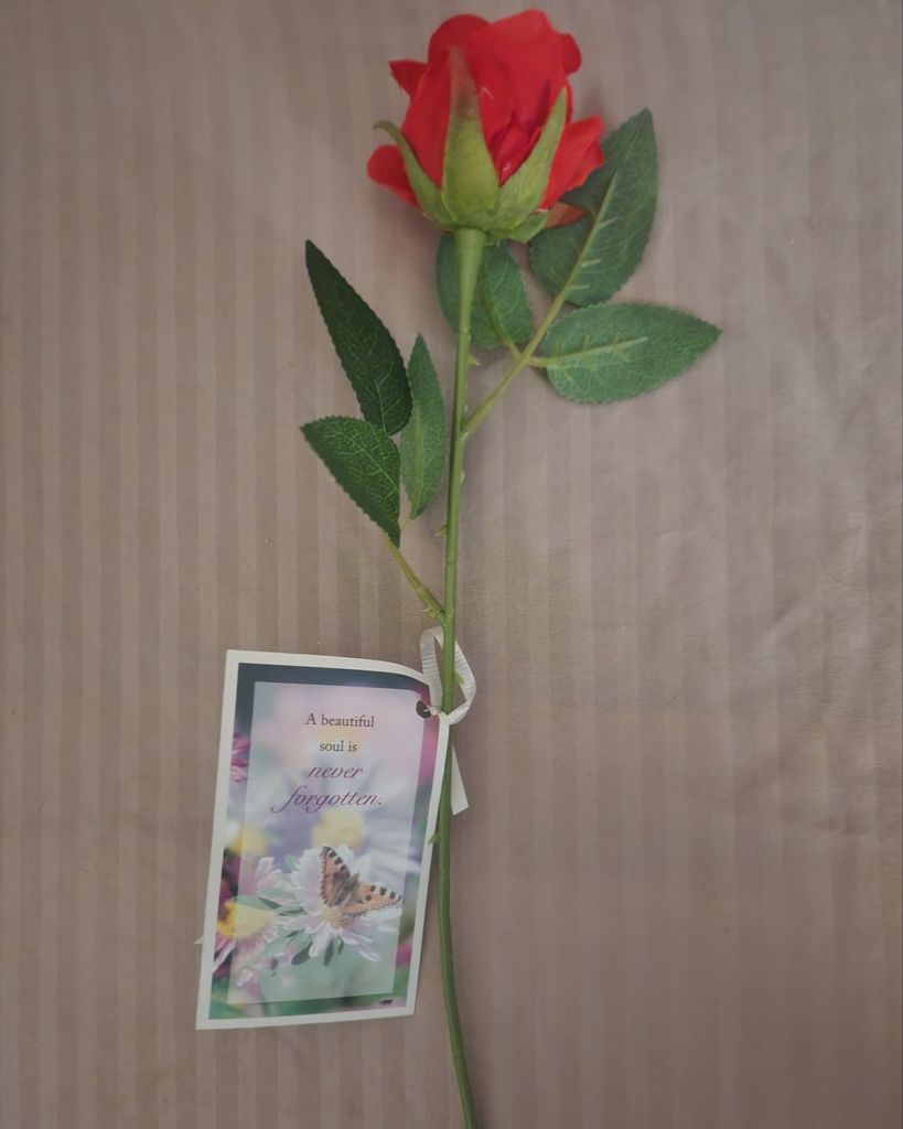 Gina Fernandez Profile Photo