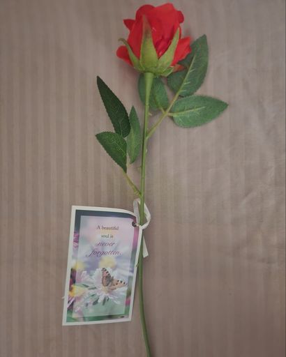 Gina Fernandez's obituary image