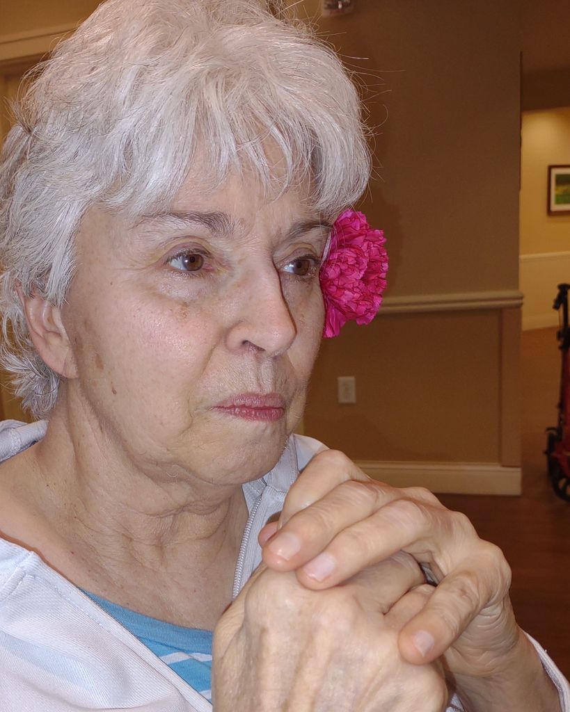 Paula Ann Casterella Profile Photo