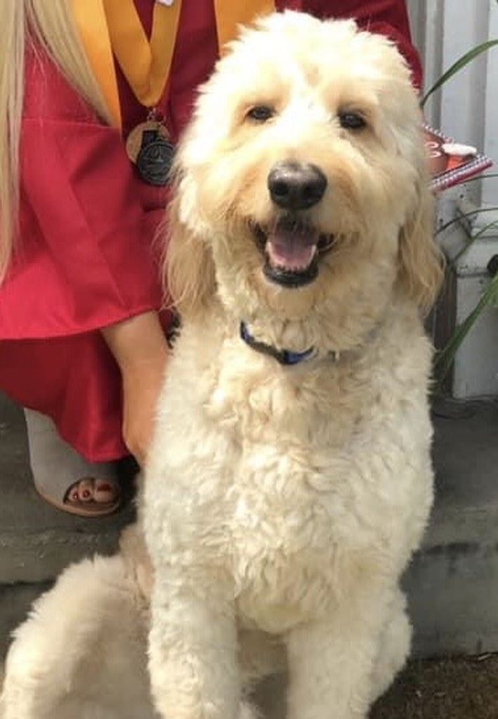 Bentley Stidham Profile Photo