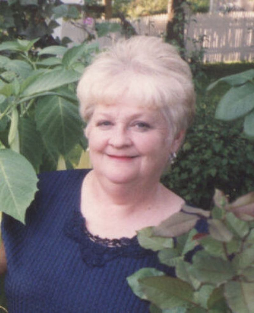 Brenda Witt Law Profile Photo