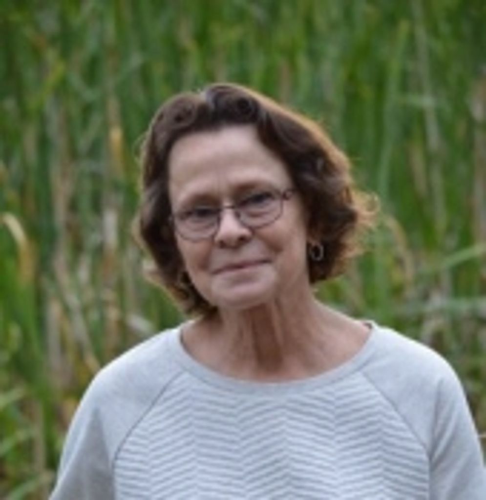 Linda Ann Davis