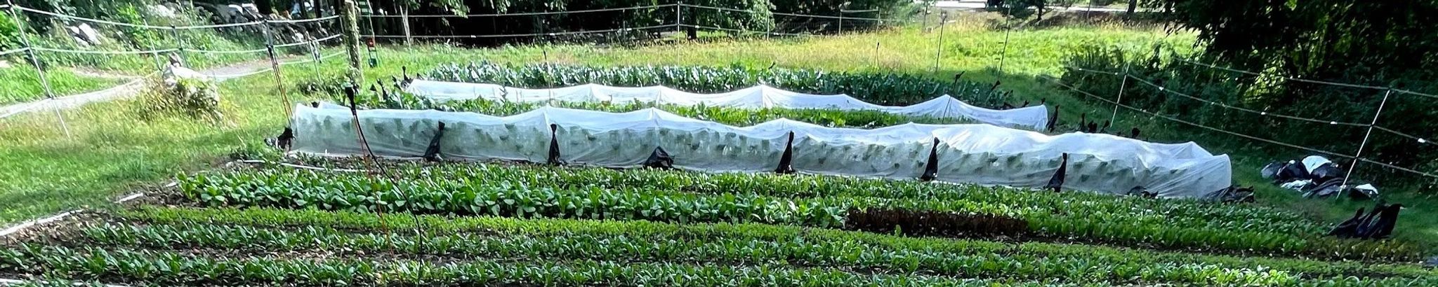 Cover for William Boaz Stason's Obituary