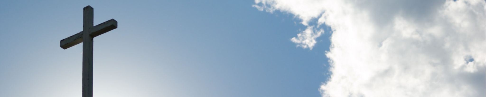 Cover photo for Janet Louise Schmidt Halleran's Obituary