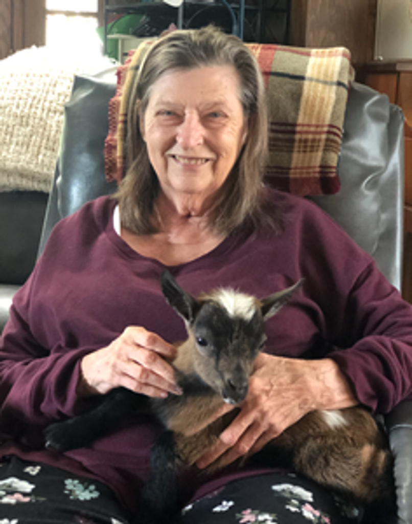 Joyce M. Welshans Profile Photo