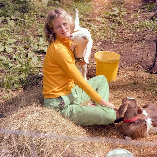 Marcy Ballard Button-Haberkorn