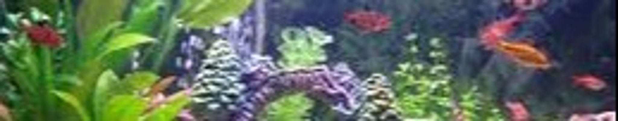 Cover photo for Edward J Ryan's Obituary