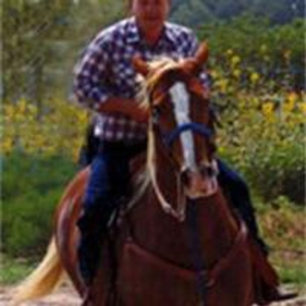 Allen Murray Davis,