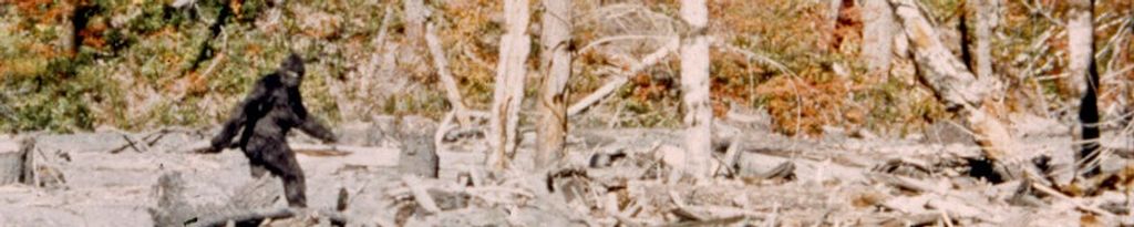 Cover photo for Scott Daniel Pepper's Obituary