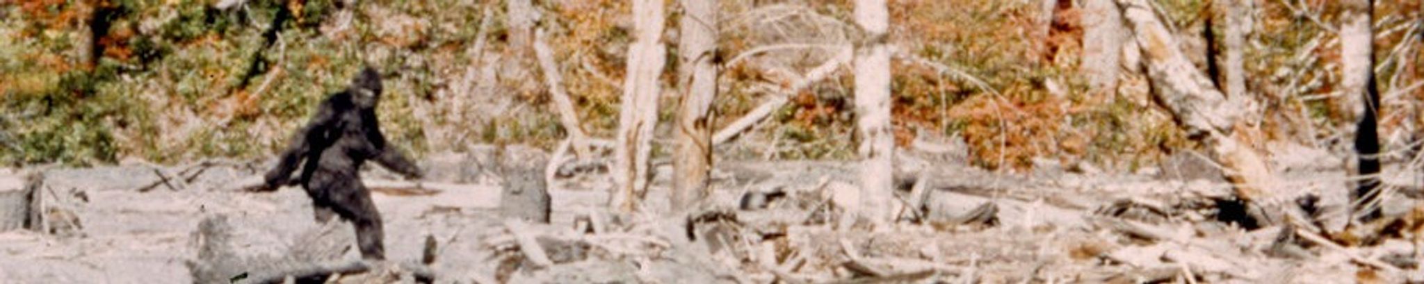 Cover for Scott Daniel Pepper's Obituary