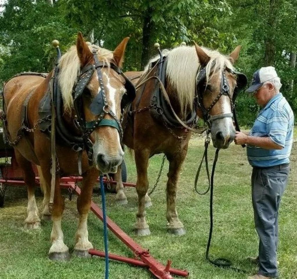 Alvin "Hacksaw" Hammonds