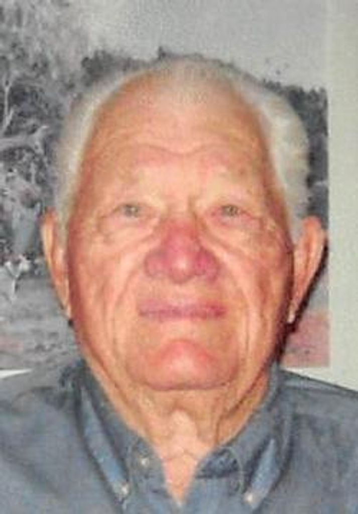 Donald Albrecht Profile Photo