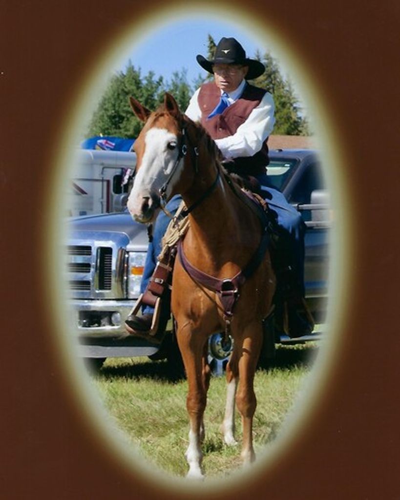 David Charles Laing Profile Photo