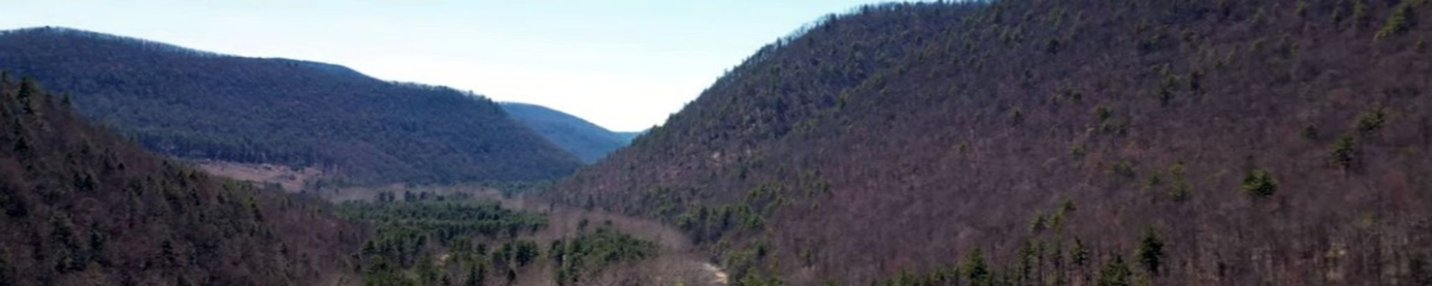 Cover photo for Virgil Wayne Amos's Obituary