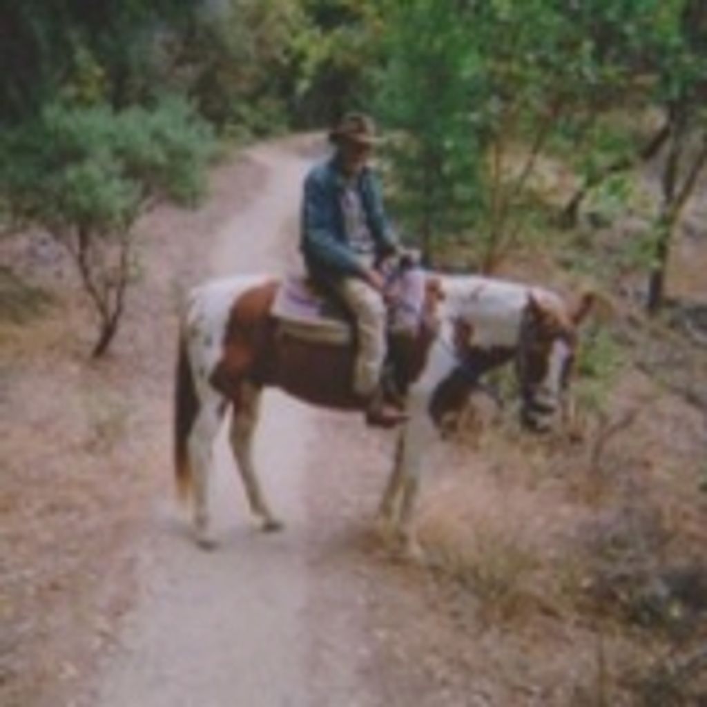 Donald Gene Bray