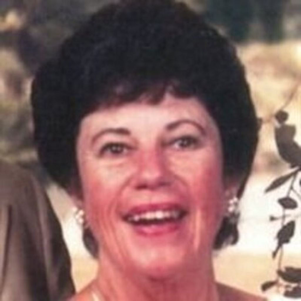 Barbara Brauer Tierney Profile Photo