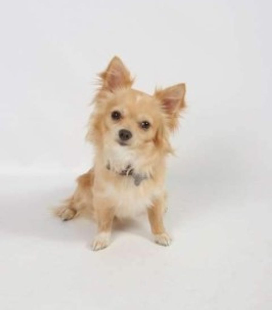 Rufus Alfonzo Foster Profile Photo