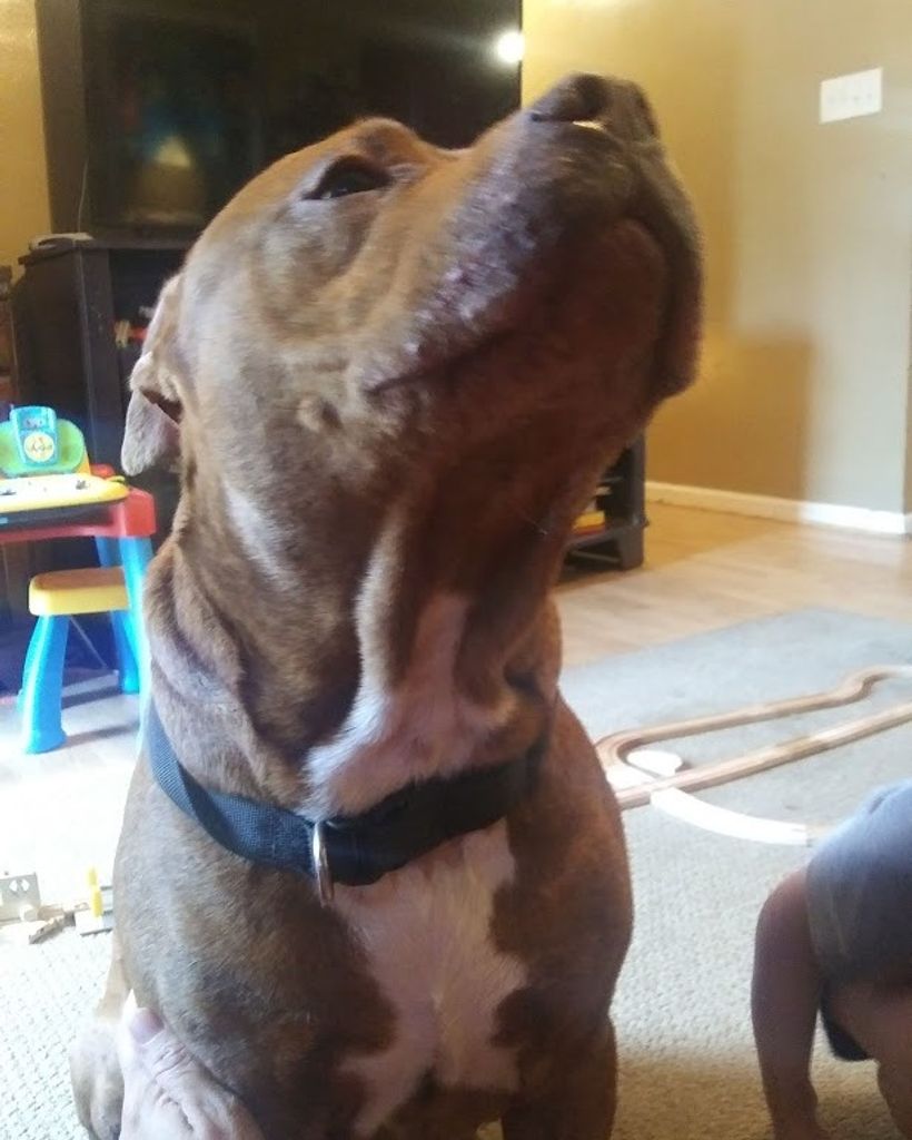 Rusty Collins Profile Photo