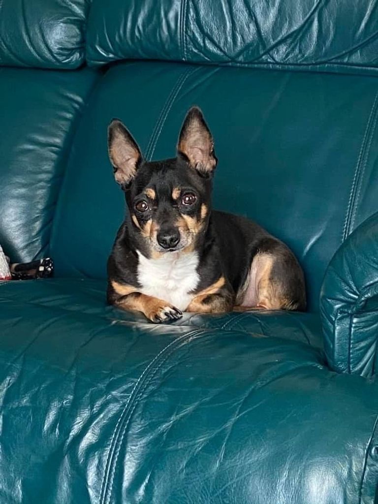 Chili Profile Photo