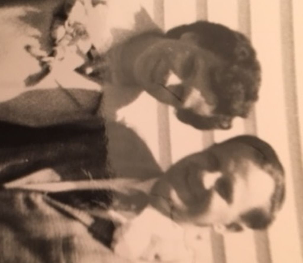 Margaret L. (Della)  Leighty Profile Photo