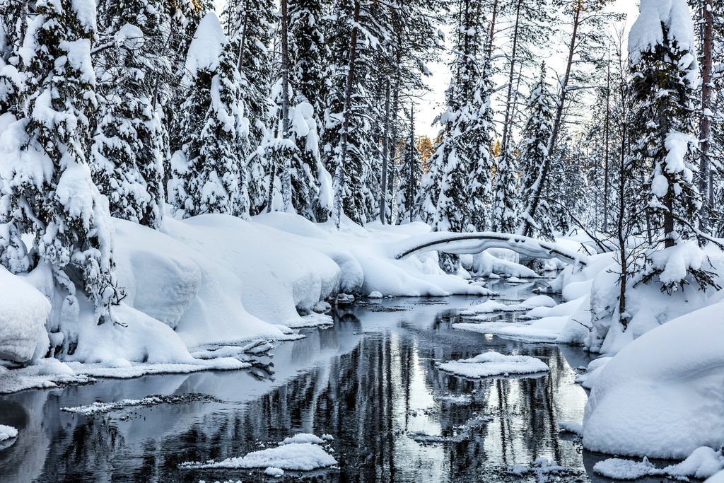 Helen P. Skandis Profile Photo