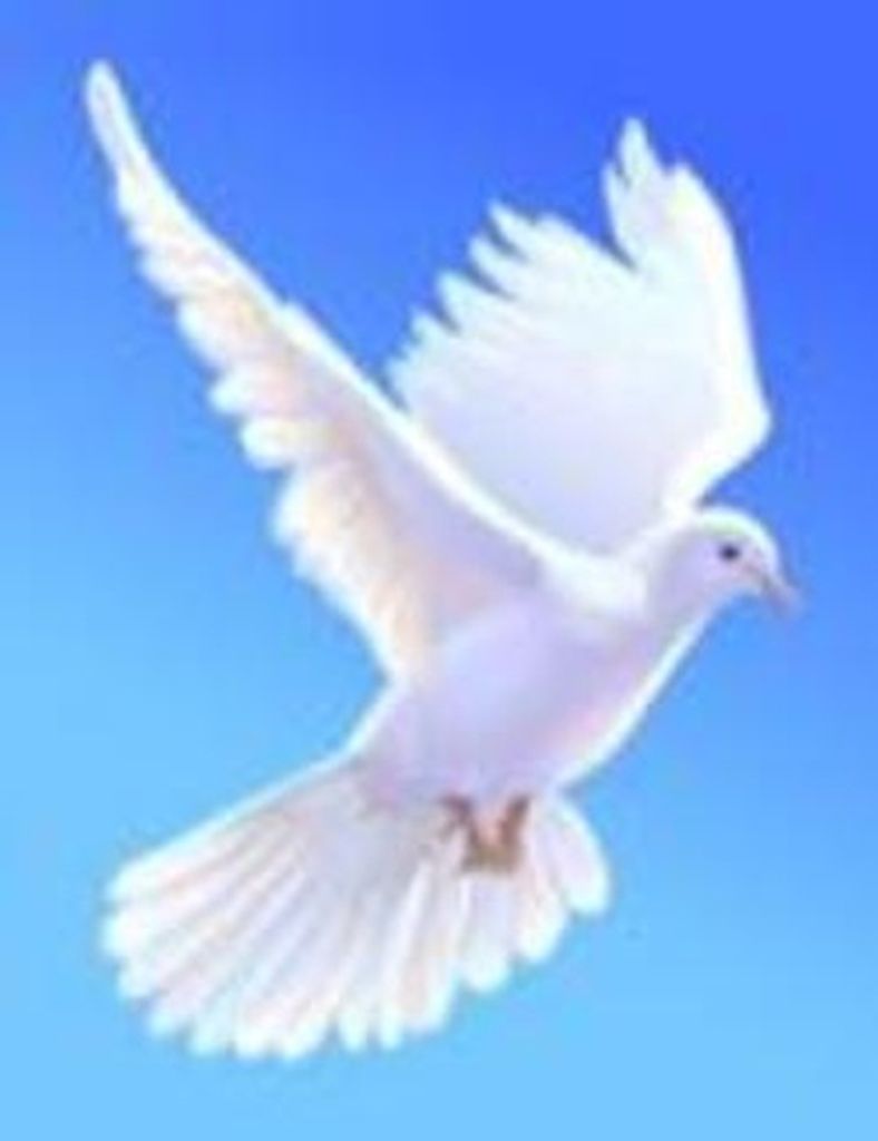 Tim Glanzer Profile Photo