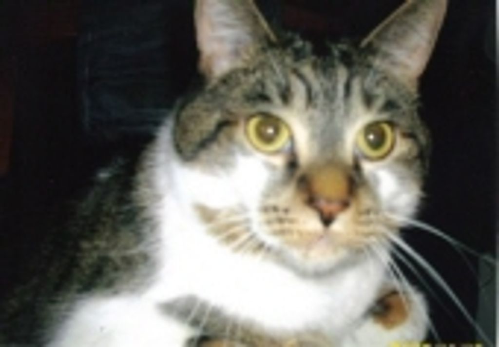 Jerry Bee Profile Photo