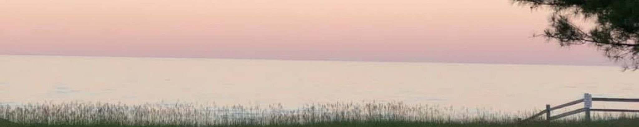 Cover photo for Dawn Hess's Obituary