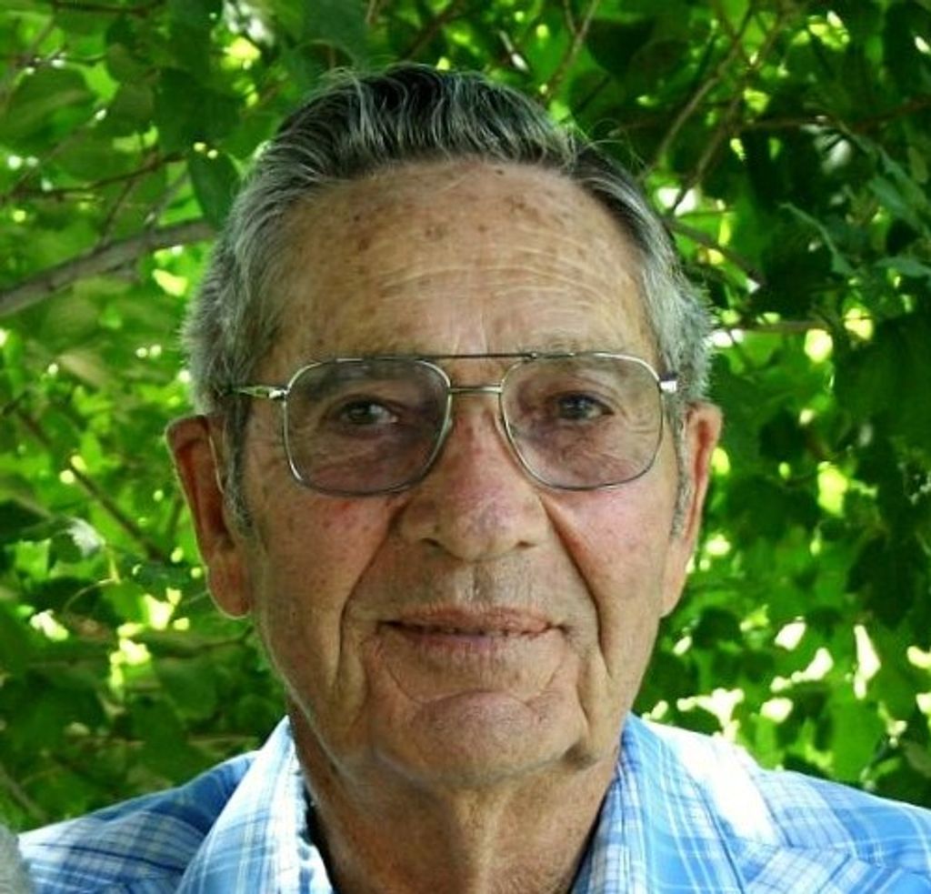 Wayne Bluemer