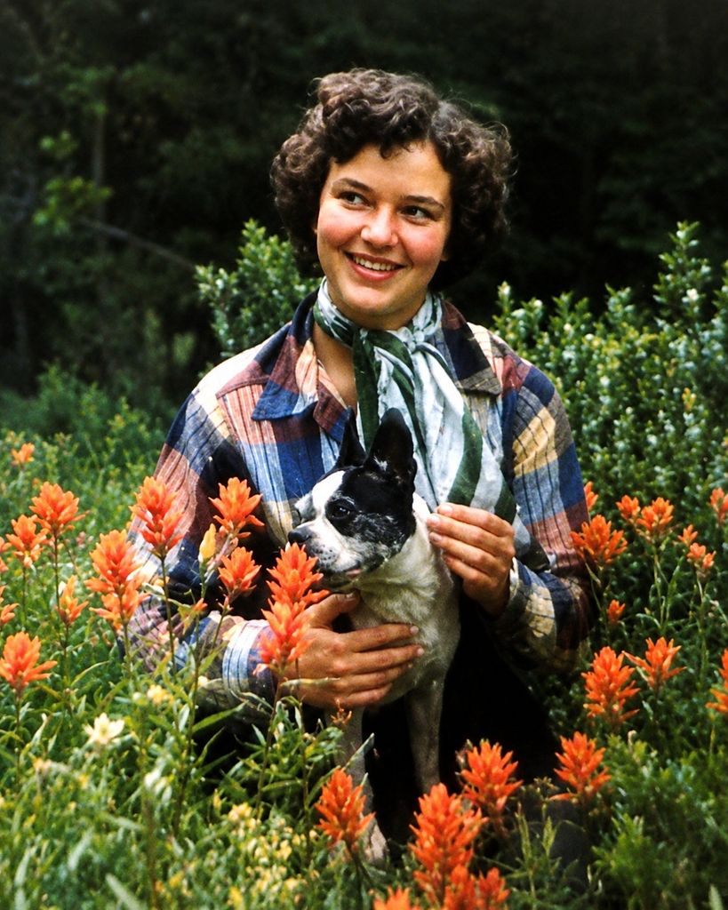 Judy Blackburn Profile Photo