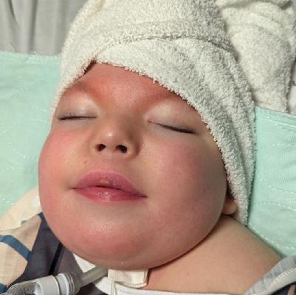 Viktor Ronan Wolfe Profile Photo