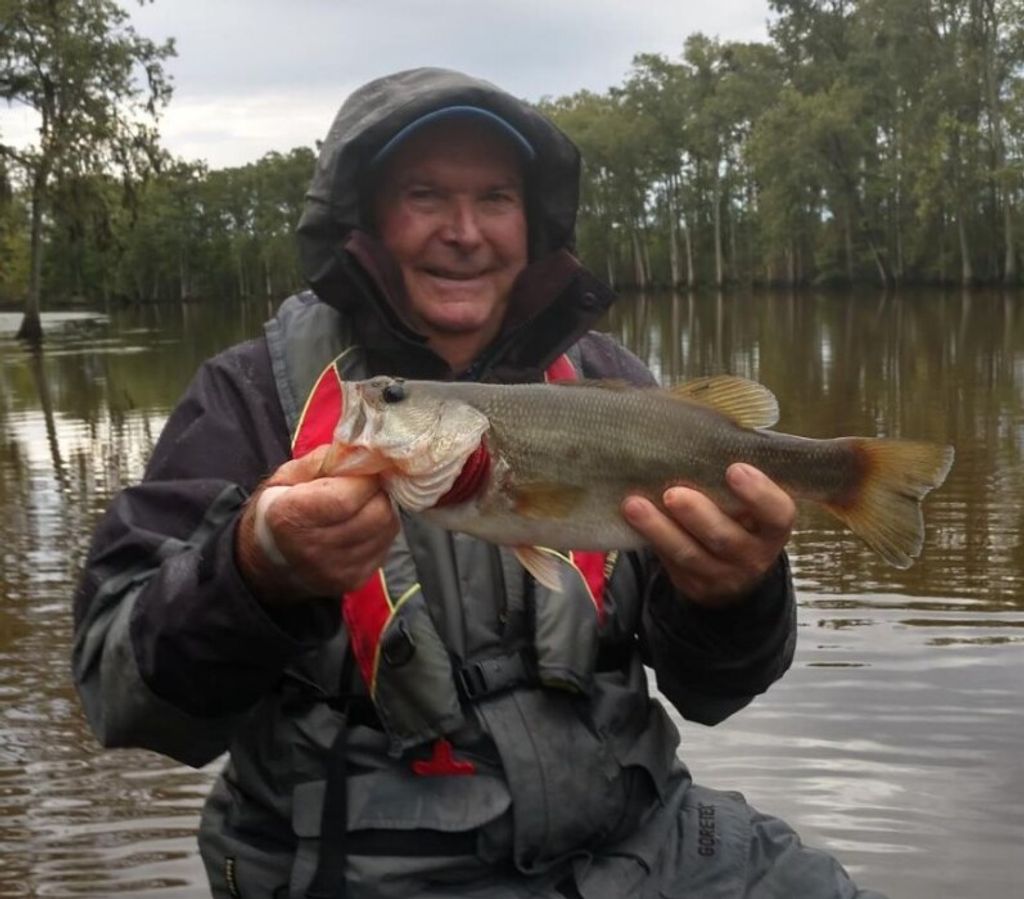 Donald "Don" Wellington Hayes