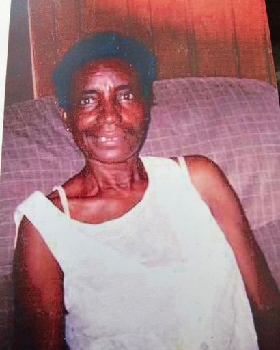 Joyce L. Green Profile Photo