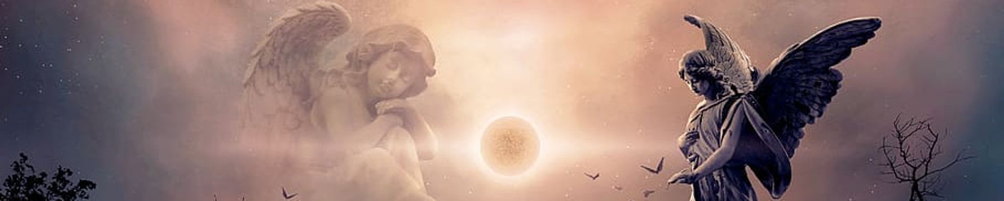 Cover photo for Melonie Anne Wilson Zeagler's Obituary