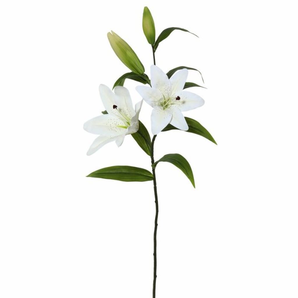 Marilyn (Moore)  Mcbride Profile Photo