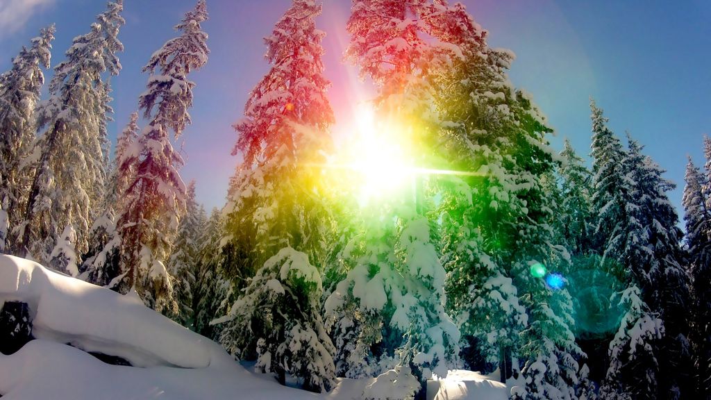 Elizabeth O'Leary Abelson