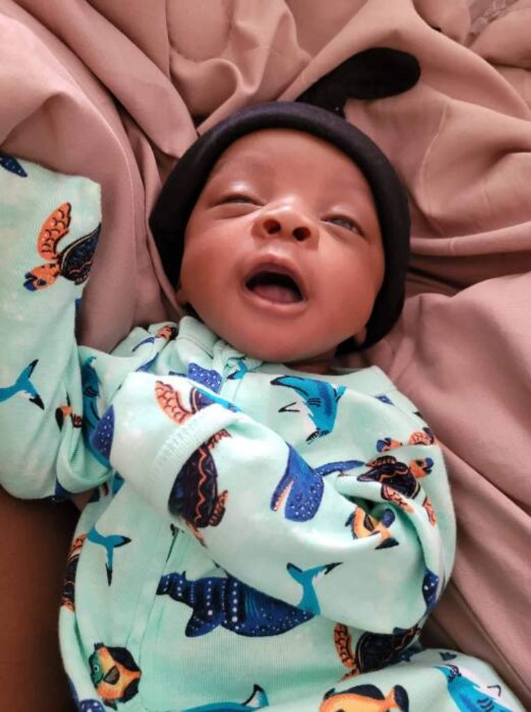 Kamel Exodus Brown Profile Photo