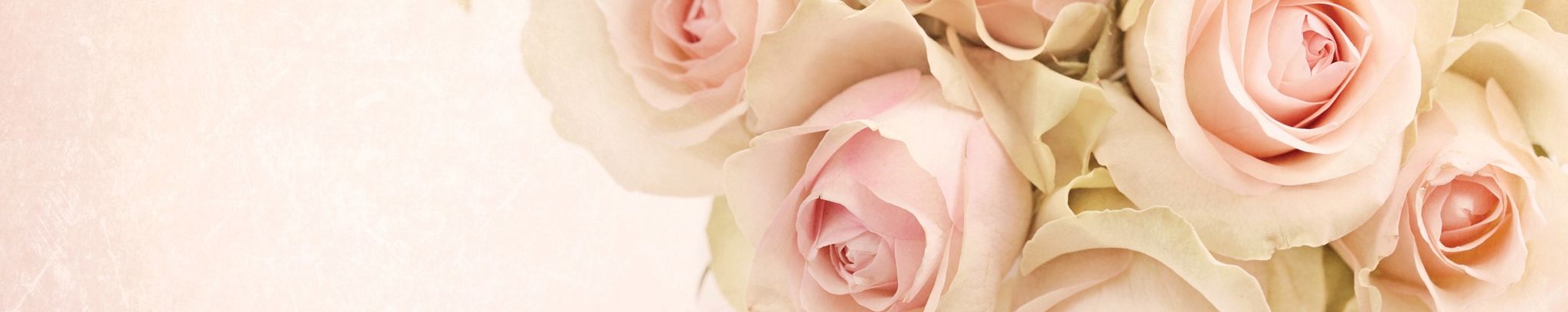 Cover for Bonita "Bonnie" Price's Obituary